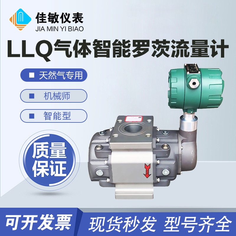 LLQ气体罗茨流量计煤气 沼气 液化气G65DN50 EVC天然气腰轮流量计
