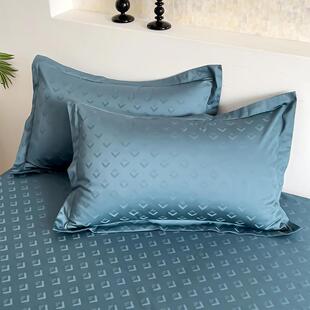 2024新款100支全棉长绒棉提花音色系列单品床单200*245cm单床单