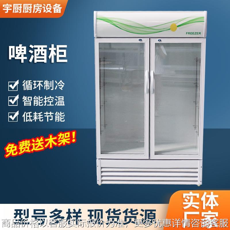 饮料啤酒冷藏柜超市便利店商用双开门保鲜柜餐厅饭店多层啤酒柜