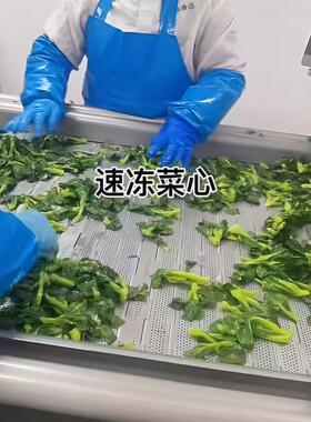 预制菜菜心速冻机 菜心大型速冻机 农产品加工冷冻设备生产厂家