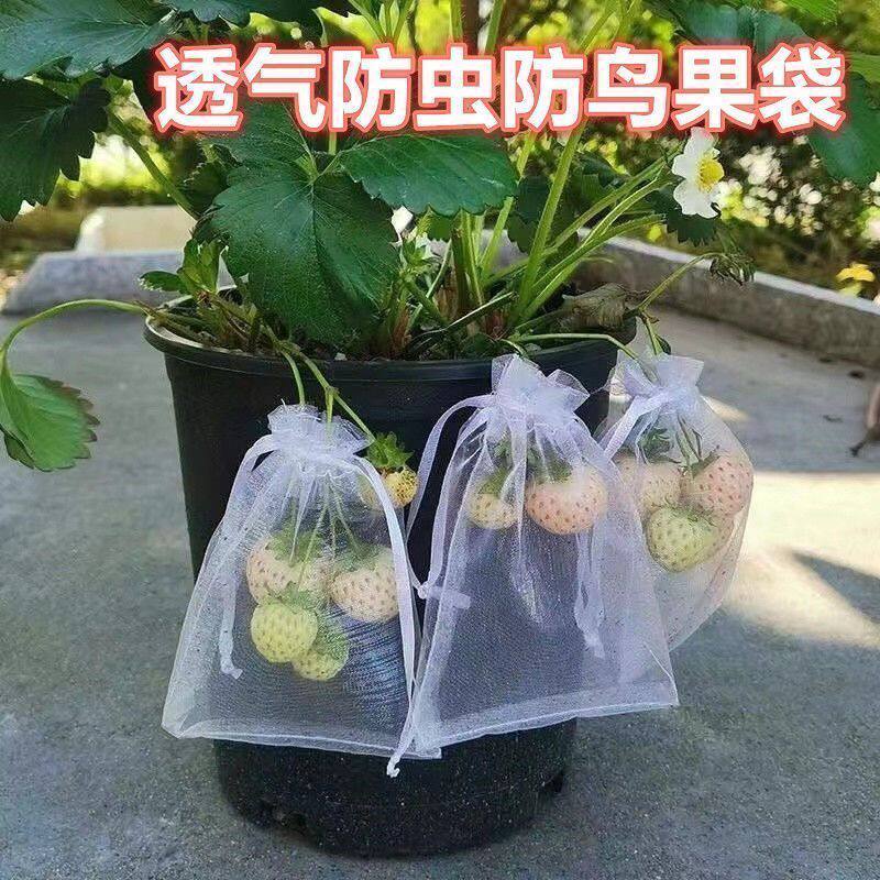 水果防鸟防虫纱网袋超高性价比