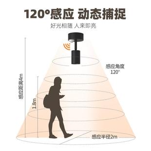 装感应射灯吸顶聚式明度8度光束小角度入户玄关15度小束光气氛灯