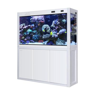 闽江鱼RFF小缸水族客厅中型家用落地式大型简约景鱼现代免换水观