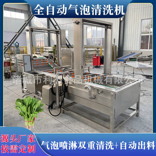 供应小白菜气泡清洗流水线 全自动菠菜清洗机 大肠气泡清洗机设备