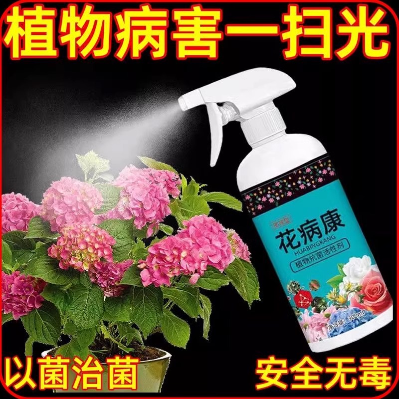 花病康，内含进口药剂，摇一摇直接喷，花卉绿植上的多种病害