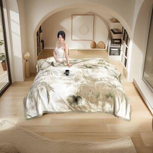 毛毯a类双面绒拉舍尔毛毯冬季加厚天丝加绒云毯盖毯绒毛毯