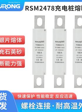 DC1000V充电桩熔断器RSM2478汽车熔断器RS309FWH100AHEV100A