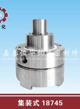 18745  化工机封 水封油封 机械密封 水泵 集装式 恒华恒化