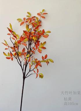 天竹叶秋桔假叶子植物树叶中式植物植物枫叶单只/束假花风花植物