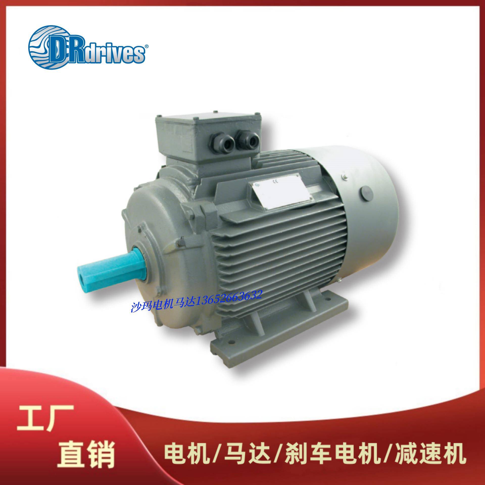 意大利DRdrives电机马达电动机TS71B480B490L4100LA摩铎利电机