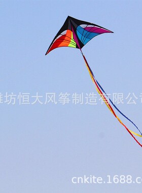 新品风筝 三角风筝  大尺寸单线风筝 带线板尾巴 kite
