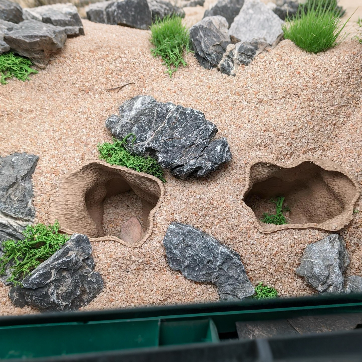 爬虫缸洞穴躲避屋生态微景观