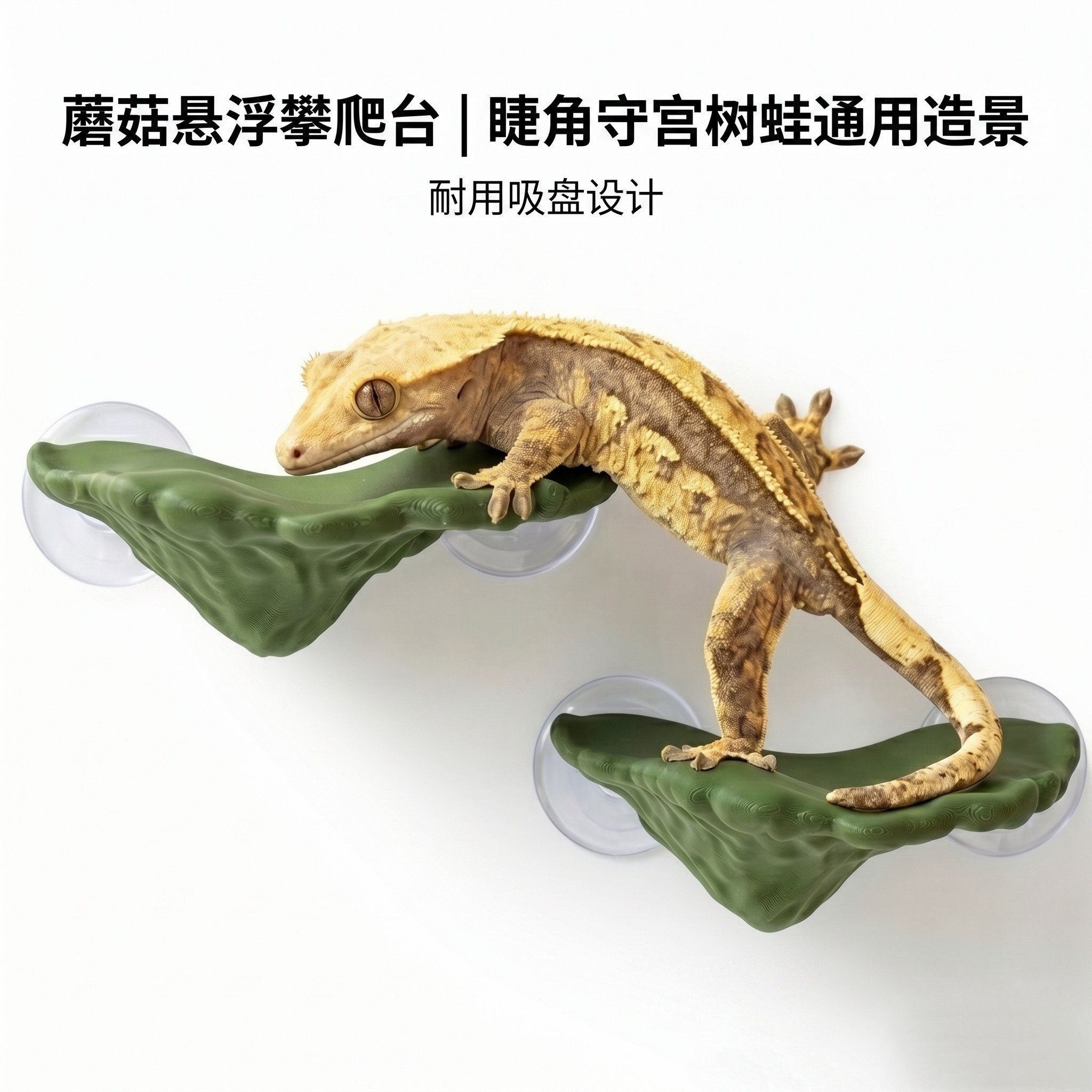 奇居工坊 | 蘑菇攀爬台树蛙睫角守宫躲避屋晒台悬浮饲养缸造景图片