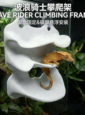 爬宠攀爬架波浪骑士睫角守宫吸附式悬浮平台躲避屋晒台饲养缸造景