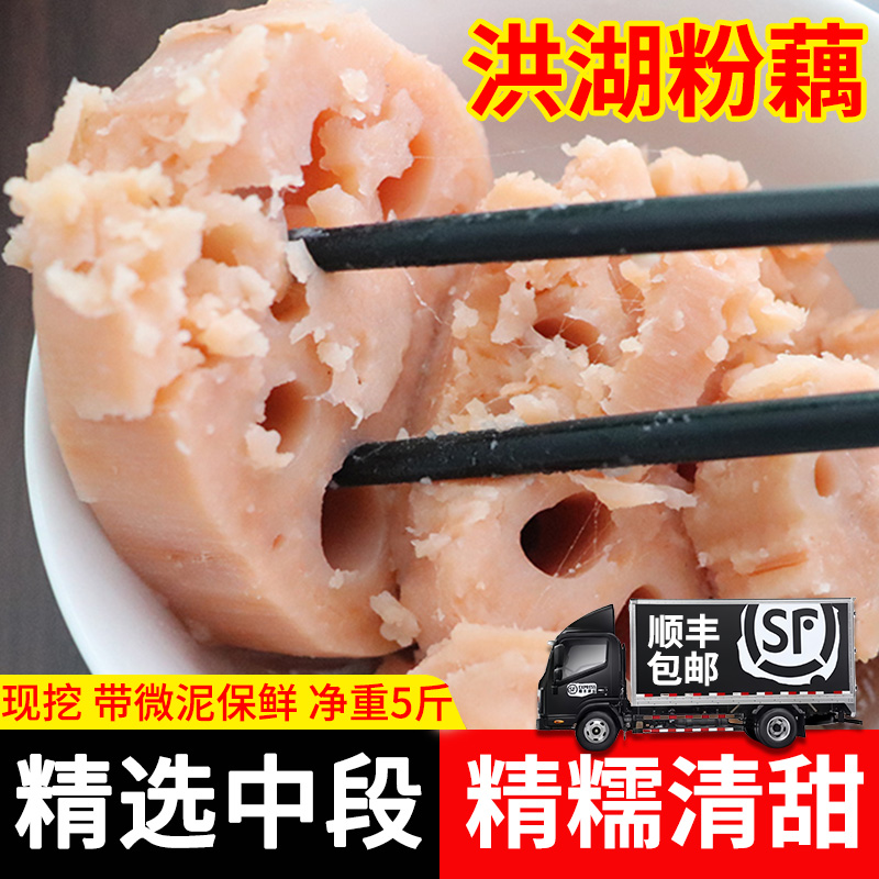 速发正宗洪湖粉藕莲藕煲汤新鲜现加热即食挖糯米藕炖汤九孔藕湖北