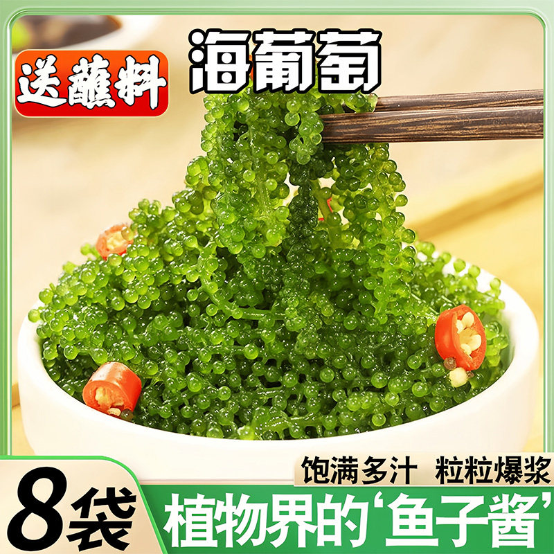 海葡萄新鲜即食盐渍海洋儿童鱼子酱海藻带凉拌菜水葡萄海草菜800g