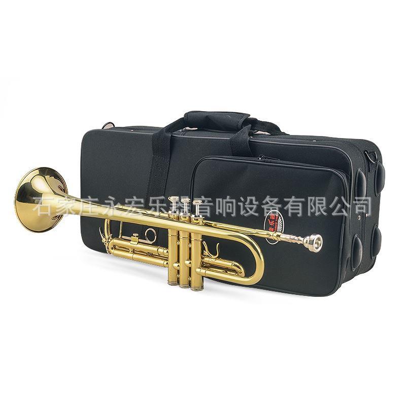 乐器小号降B调JYTR-E100G漆金黄铜小号乐器小号