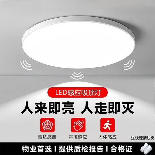 感应吸顶灯楼梯走廊灯可选中性光