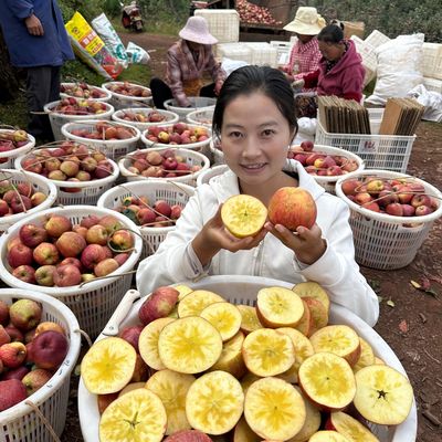 【冰糖心】大凉山盐源高山冰糖心丑苹果红富士脆甜多汁不包花皮