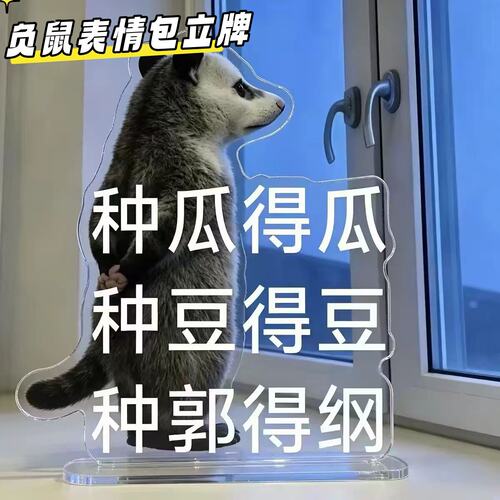 趣味负鼠搞笑语录表情包