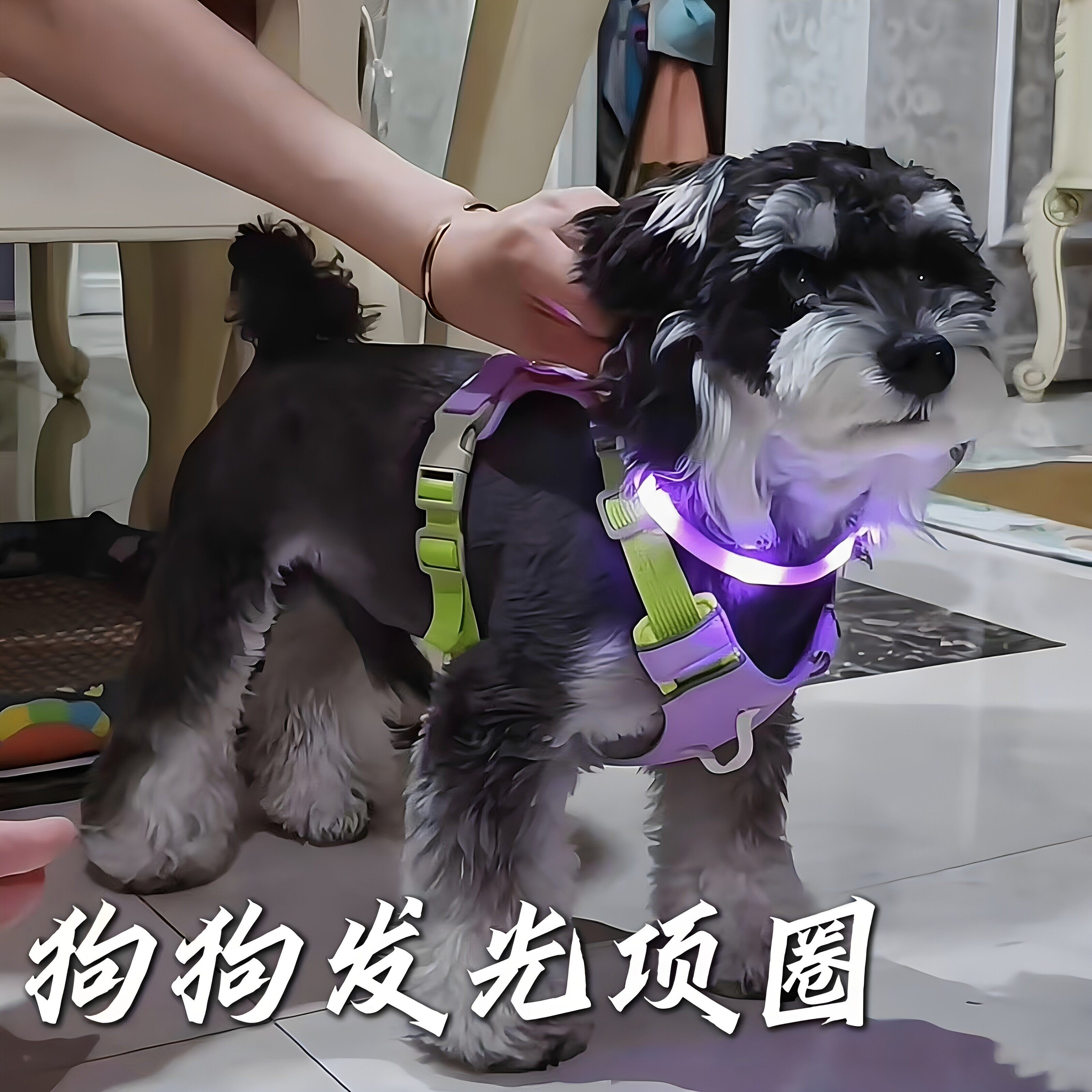 狗狗发光项圈夜间超轻遛狗夜光灯充电宠物脖圈大小型犬防走失带灯