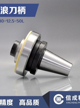 巨浪刀柄CH30-12.5-50L加工中心德国巨浪Chiron舍弃式巨浪刀柄
