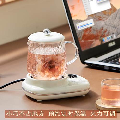 养生壶小型办公室一人烧水壶宿舍煮水花茶壶迷你养生杯煮茶器温奶