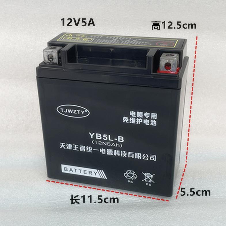 适用于豪110摩托车电瓶 喜运弯梁110摩托车干电瓶12v5ah蓄电池