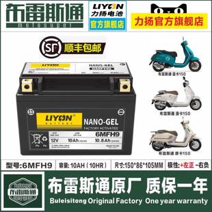 布雷斯通蓝卡150T-D布雷斯通极昼ADV150恒舰大海盗义骑V8电瓶