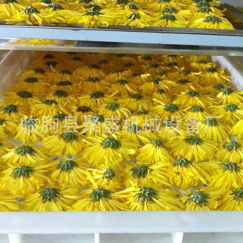 江西菊花干箱小型 野烘菊花茶干燥 各厂种花茶箱烘干设备JS-菊花