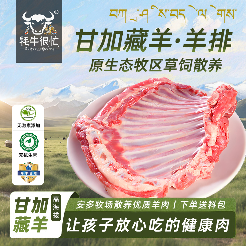 清真藏羊肉羊排5斤青海临夏甘肃烧烤火锅生新鲜整羊腿羊排现宰