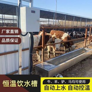 牛羊用不锈钢水槽牛羊用电加热加厚双层保温自动控温全自动槽子