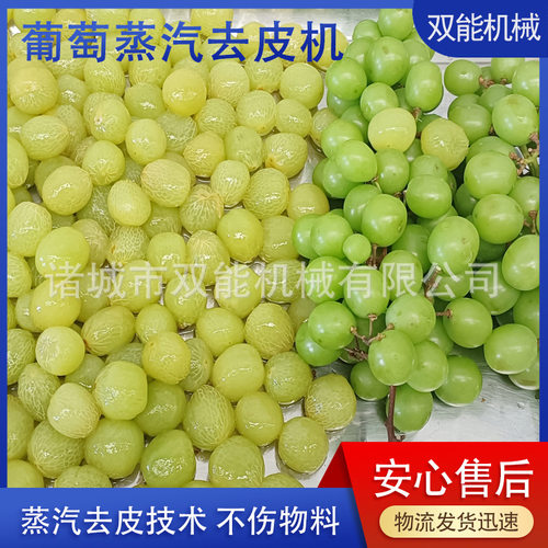 黄桃加工蒸汽脱皮机 隆坤 葡萄罐头全自动设备 加工流水线去皮机