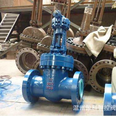 KZ441H-25PDN50抗硫正齿轮闸阀手动法兰不锈刚闸明杆楔式闸