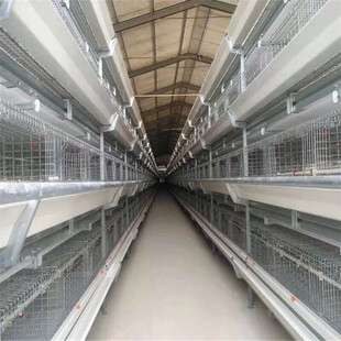 河南华顺2025款层叠蛋鸡笼好操作客户青睐