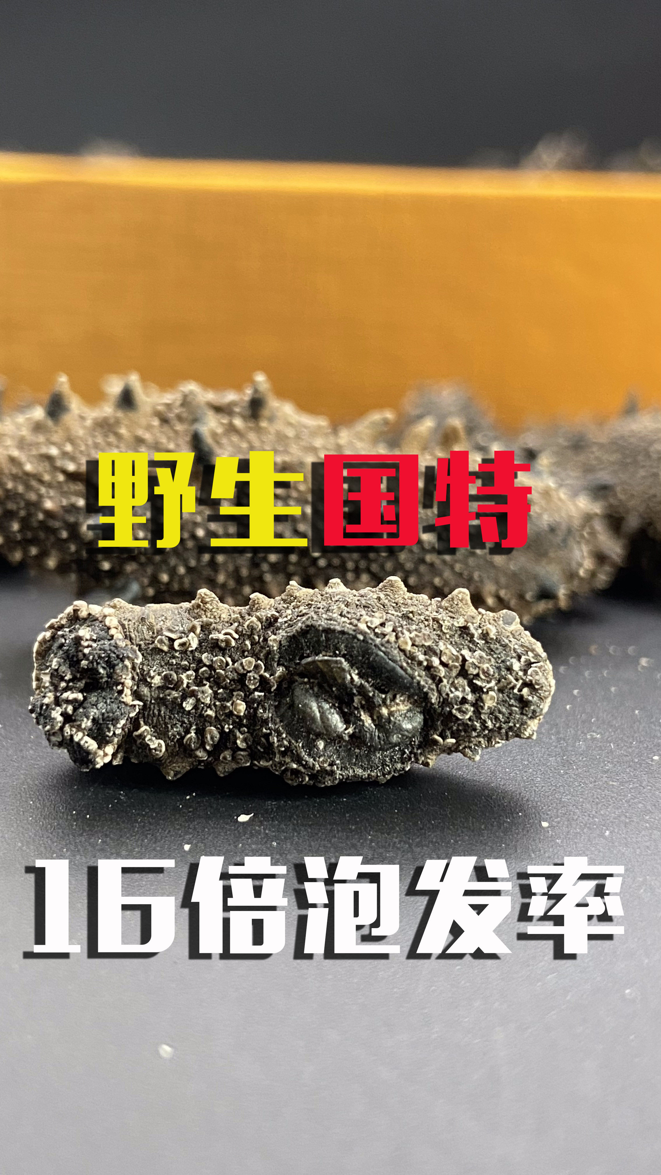 识海野生深海高泡发肉特厚高营养干海参60-400头/500g,水产肉类/新鲜蔬果/熟食,海参,淘宝优惠券,粉丝福利购,淘宝优惠卷