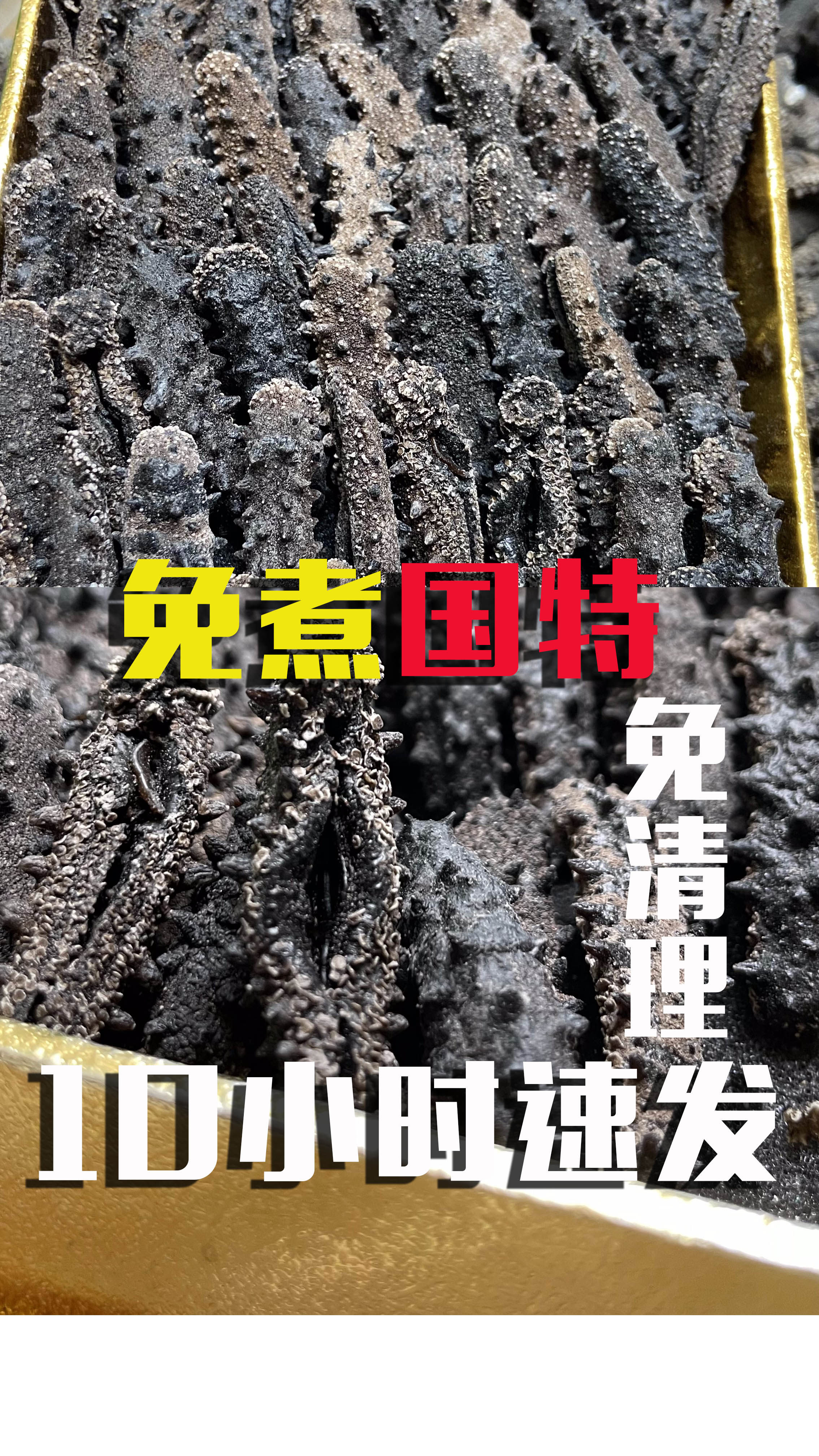 【国标特级免煮免泡发免清理高营养开口】高品质海参省时便携