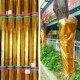 金布缠树包柱子金色银色酒店金店装 饰金箔纸婚庆用品户外花盆包装