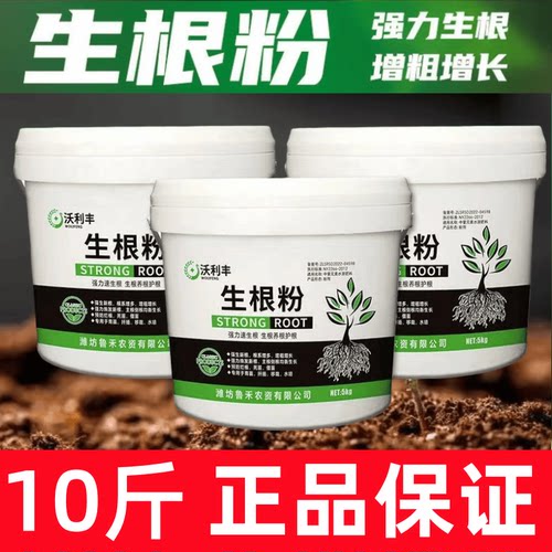 移栽大桶装强力生根粉