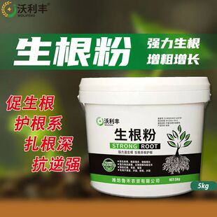 生根粉促生根护根系深扎根生根壮苗移栽扦插植物通用型
