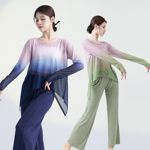 速发古典渐服网衣上纱舞蹈变身韵纱衣舞飘逸舞蹈练功服装