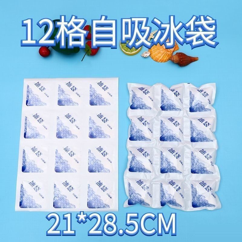 现货速发12/24格冰袋自吸冰格干冰包冷藏水果海鲜快递航空可定安