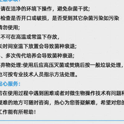 现货速发绳状青霉 AS.875二代试管斜面培养基 质控实验学校菌株标