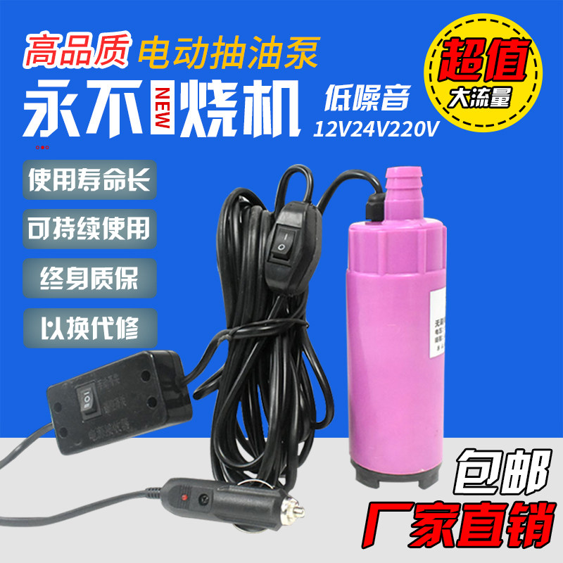 现货速发无刷抽油泵12v抽水泵24v220v点烟器加油枪车载电动柴油抽