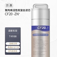 貝昂T-R100 1號(hào)聚丙烯活性炭復(fù)合濾芯 含鋅弱堿CF20-Zn+