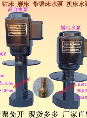 特价铣床钻床磨床带锯床专用机床水泵40W电泵DB-12AB-12锯床水泵