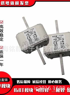 170M6017 170M6018 170M6019 170M6020巴斯曼熔断器现货170M6021