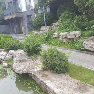 安徽灵石璧山石园FHN林绿工程造景专业设计驳岸天然化原石灵璧假