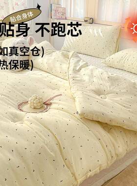 水洗棉12419子冬被225新被款春被加厚保暖被芯秋学生单人被四0季