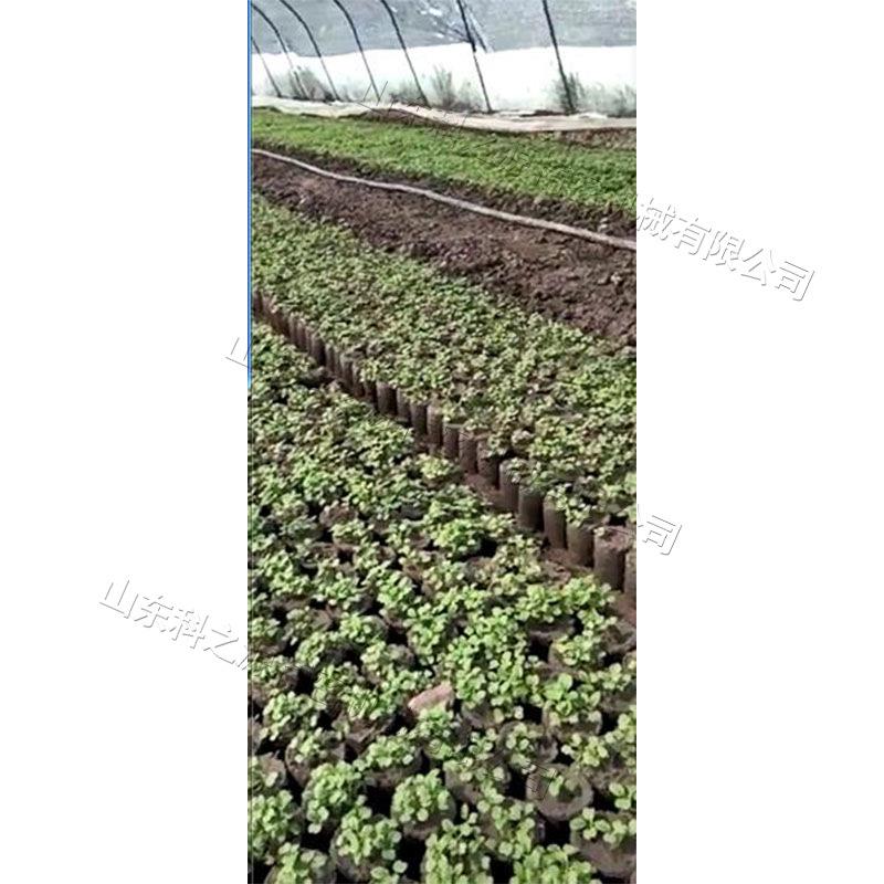 对冲营CVD养土制钵机植物育果苗移栽钵机小养型式瓜营钵装土设备